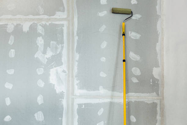 Reliable Towanda, PA Mold Removal Solutions