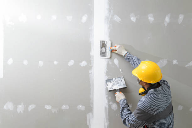 Best Mold Removal for HVAC Installations  in Towanda, PA