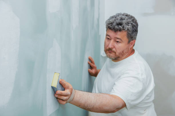 Best Attic Mold Removal  in Towanda, PA