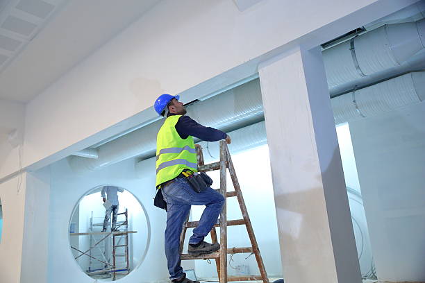 Best Post-Construction Mold Inspection  in Towanda, PA